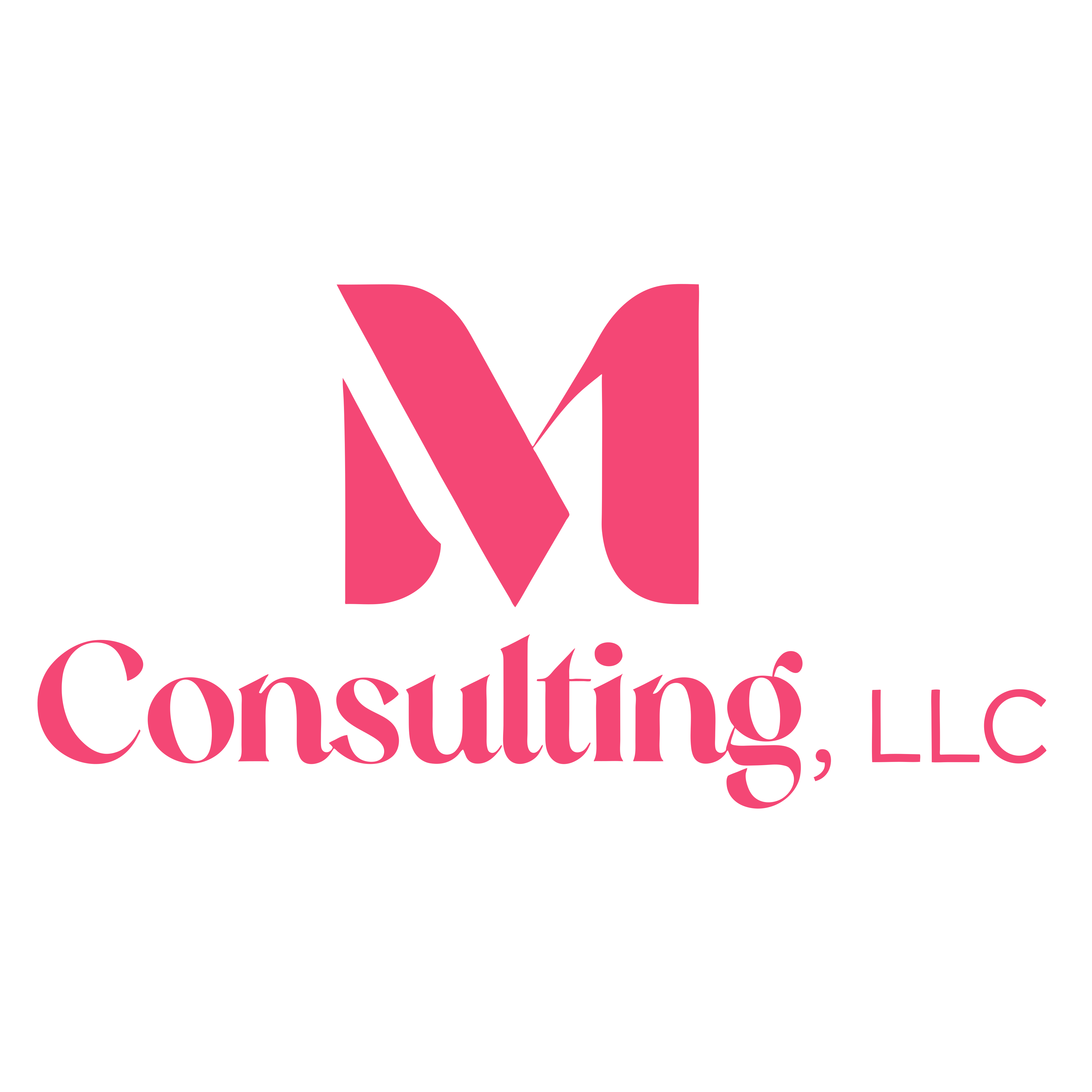 BMV Consulting Logo